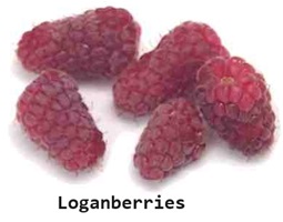 Loganberries