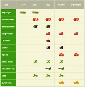 Copas Farms Pick Your Own